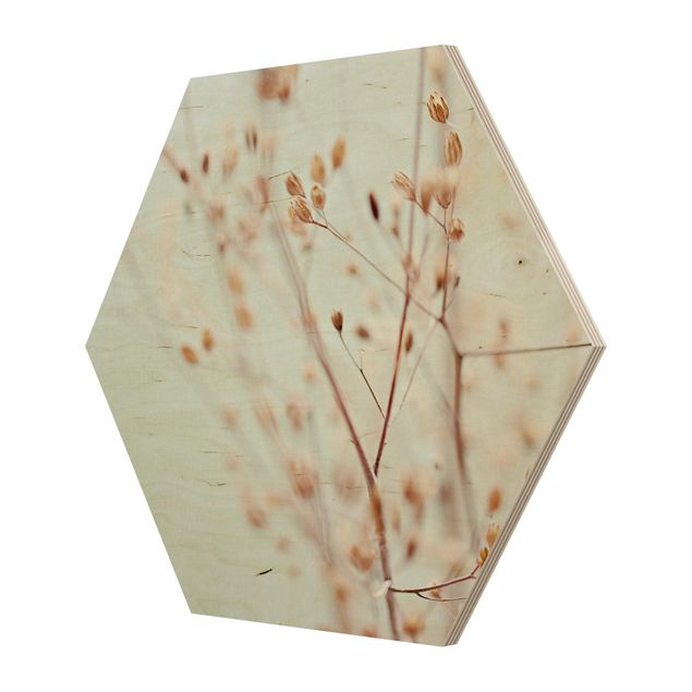 Hexagon Bild Holz - Pastellknospen am Wildblumenzweig