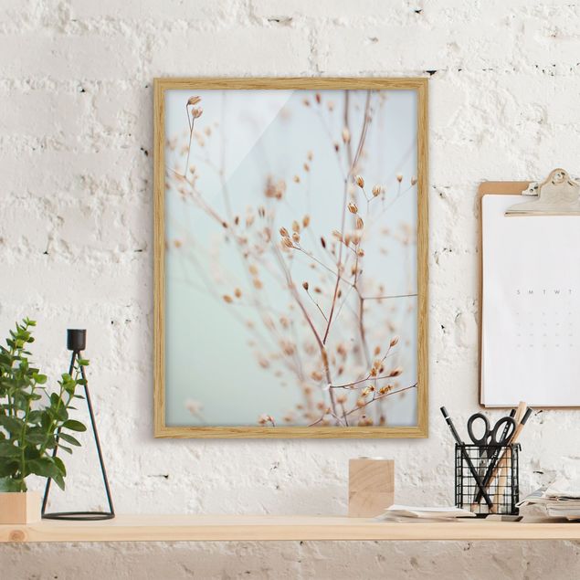 Moderne Bilder mit Rahmen Pastellknospen am Wildblumenzweig