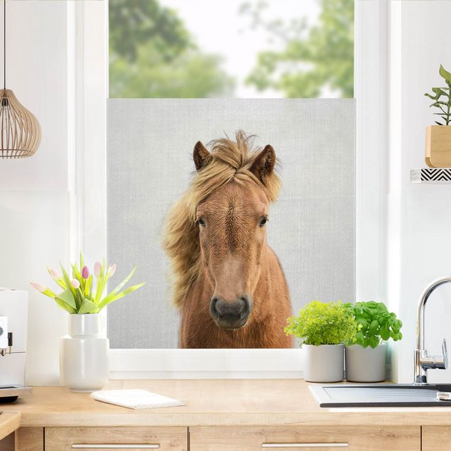 Fensterbilder selbstklebend Pferd Pauline