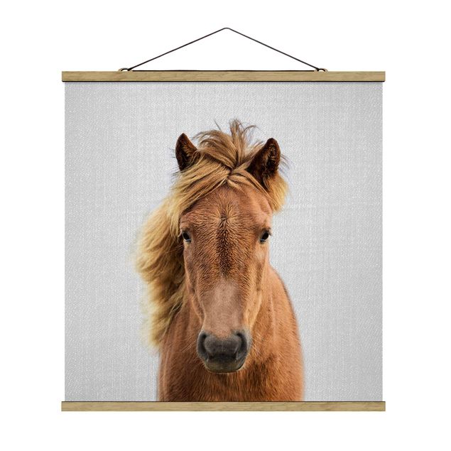 Moderne Poster Pferd Pauline