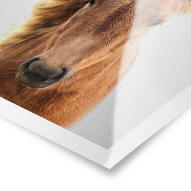 Poster Pferd Pauline