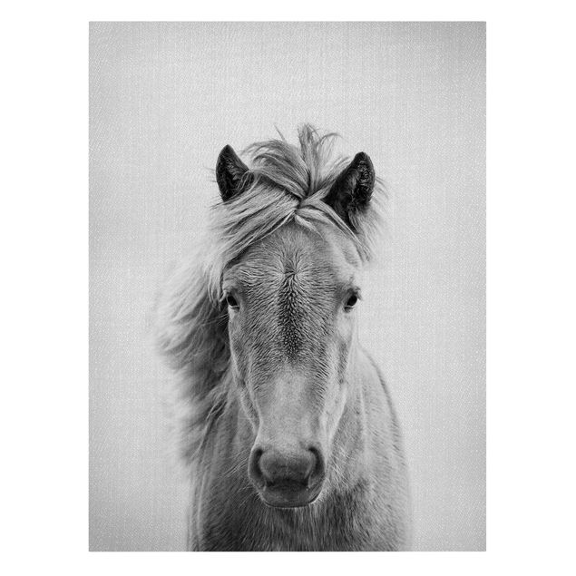 Leinwandbilder Pferd Pauline Schwarz Weiß