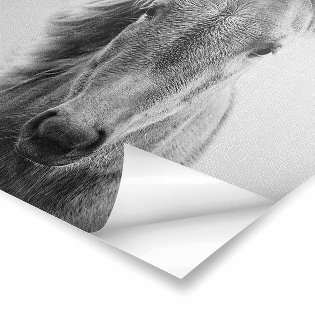 Poster - Pferd Pauline Schwarz Weiß - Hochformat 3:4