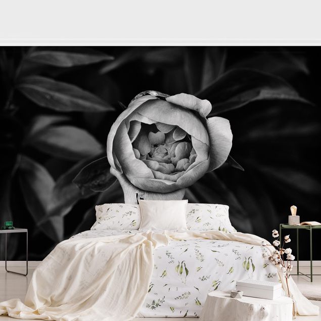 Design Tapeten Pfingstrosenblüte vor Blättern Schwarz Weiß