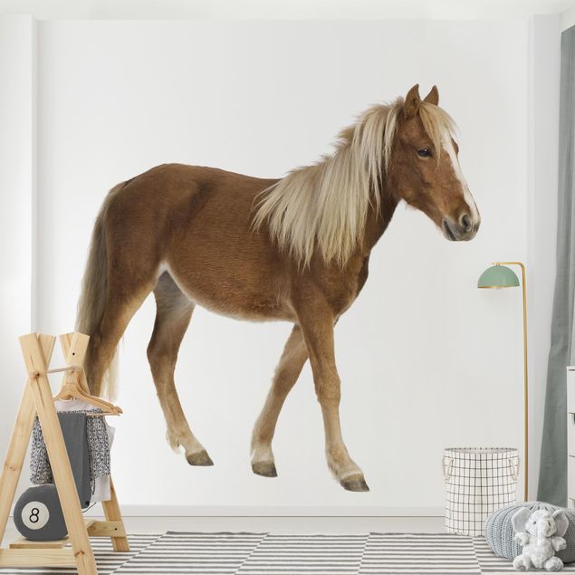 Design Tapeten Pony