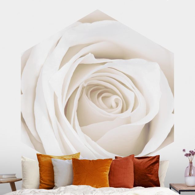 Landhaus Tapete Pretty White Rose
