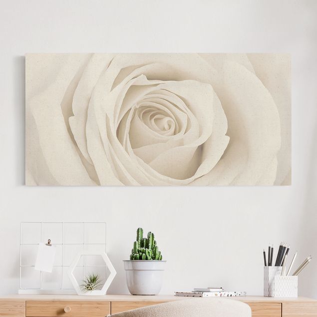 Leinwandbilder Pretty White Rose