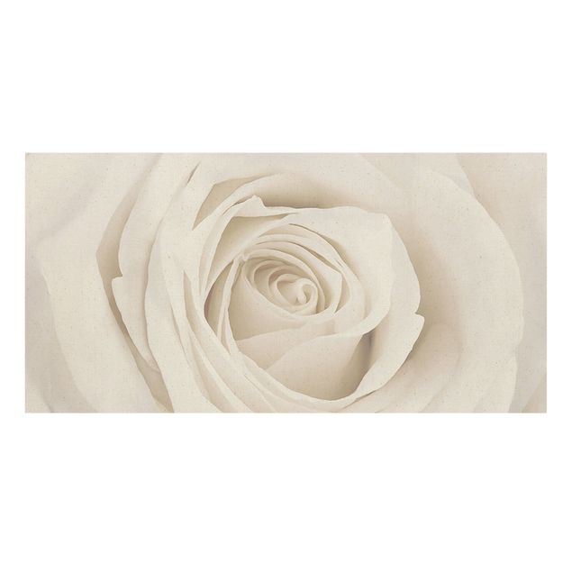 Leinwandbild - Pretty White Rose - Quer 2:1