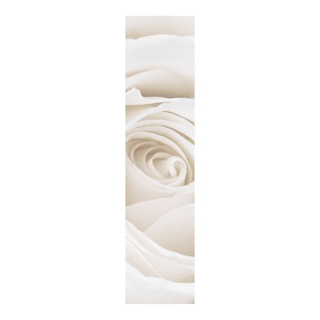 Schiebevorhänge Pretty White Rose