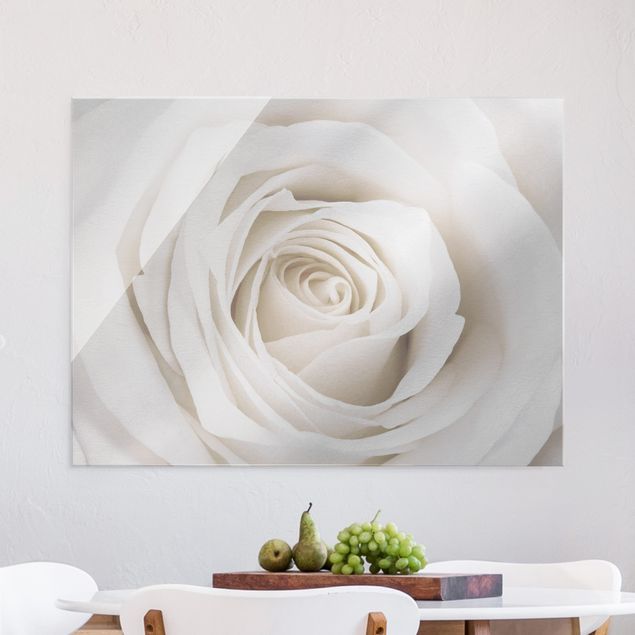 Glasbilder XXL Pretty White Rose