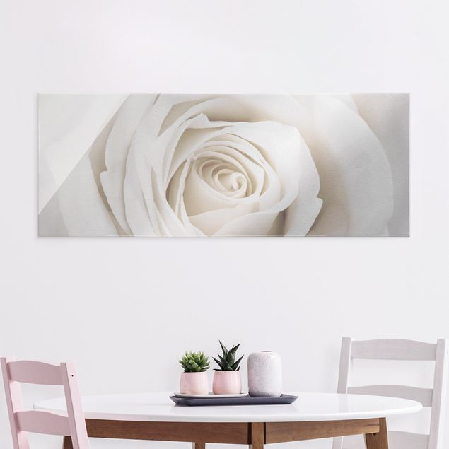 XXL Glasbilder Pretty White Rose