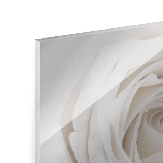 Glasbild - Pretty White Rose - Quer 4:3 - Blumenbild Glas