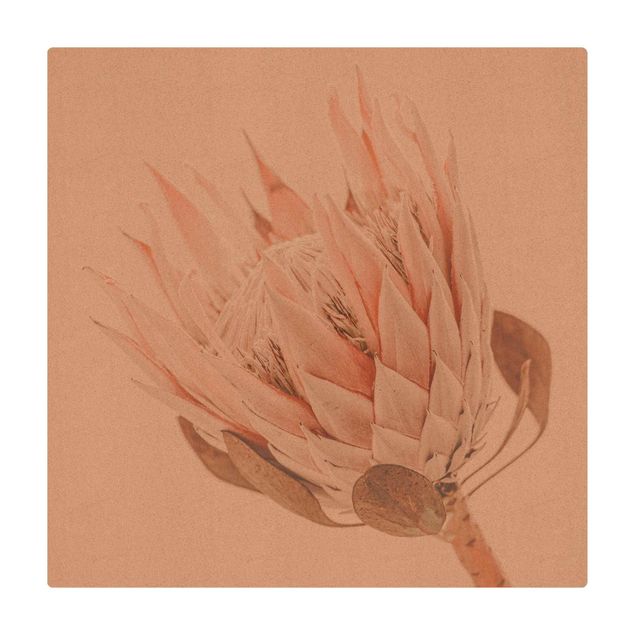 Kork-Teppich - Protea Königin der Blüten - Quadrat 1:1