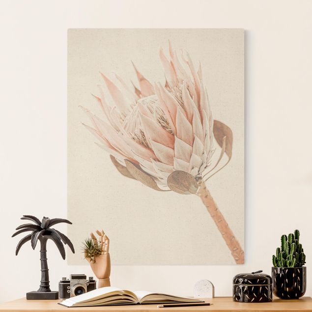 schöne Leinwandbilder Protea Königin der Blüten
