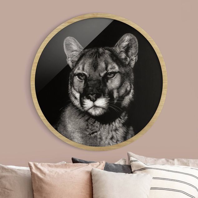 Moderne Bilder mit Rahmen Puma vor Schwarz