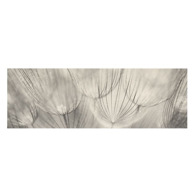 schöne Leinwandbilder Pusteblumen Makroaufnahme in schwarz weiß