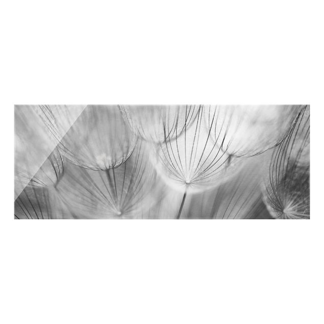 Glasbilder Pusteblumen Makroaufnahme in schwarz weiss