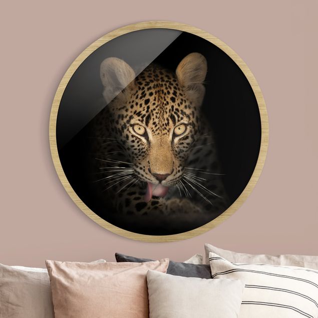 Moderne Bilder mit Rahmen Resting Leopard