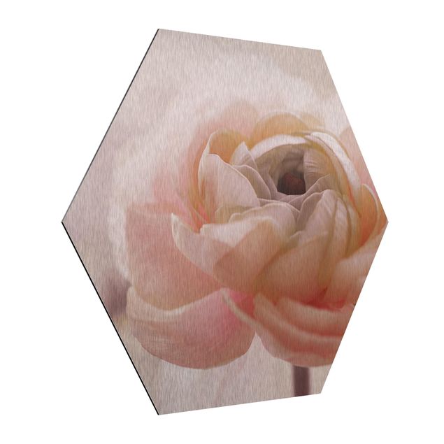 Hexagon Bild Alu-Dibond - Rosa Blüte im Fokus