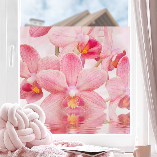 Fensterbilder selbstklebend Blumen Rosa Orchideen auf Wasser