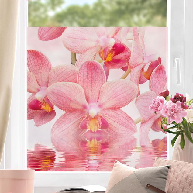 Fensterfolie Blumen Rosa Orchideen auf Wasser