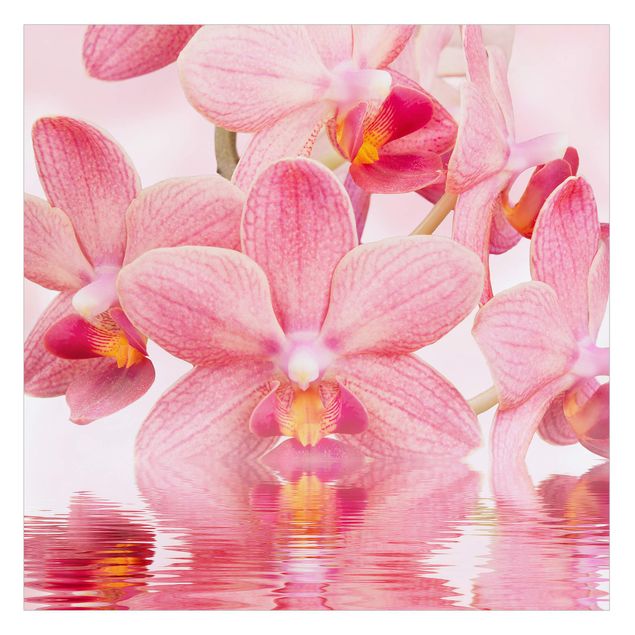 Fensterfolie - Sichtschutz - Rosa Orchideen auf Wasser - Fensterbilder