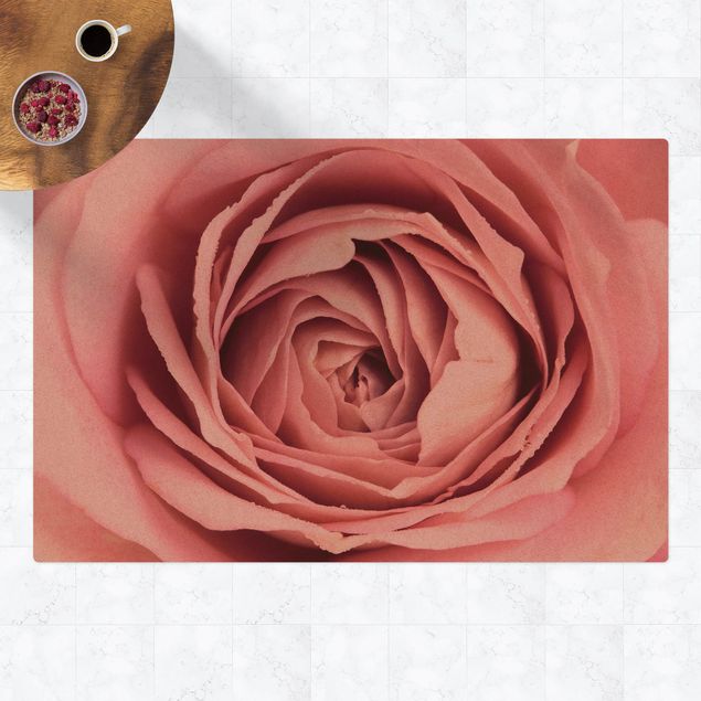 Moderner Teppich Rosa Rosenblüte