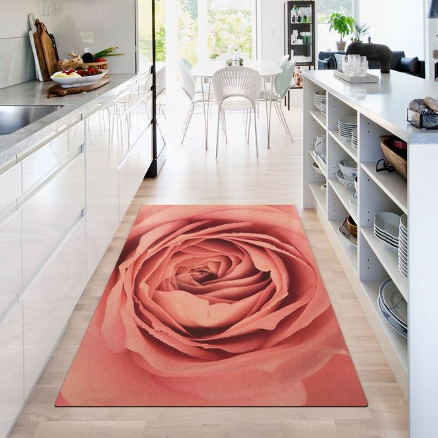 Teppich rosa Rosa Rosenblüte