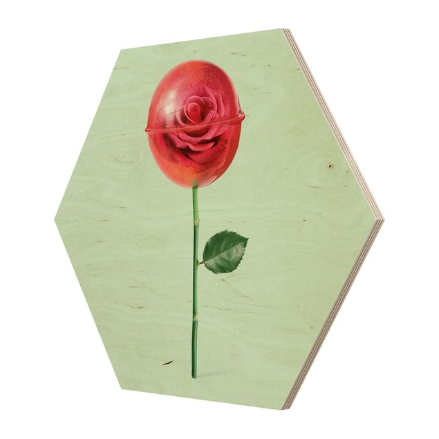 Hexagon Bild Holz - Rose mit Lollipop