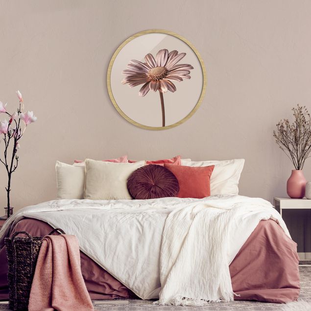 Moderne Bilder mit Rahmen Rosegoldene Margerite