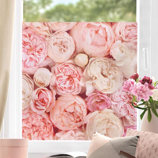 Fensterfolie Blumen Rosen Rosé Koralle Shabby