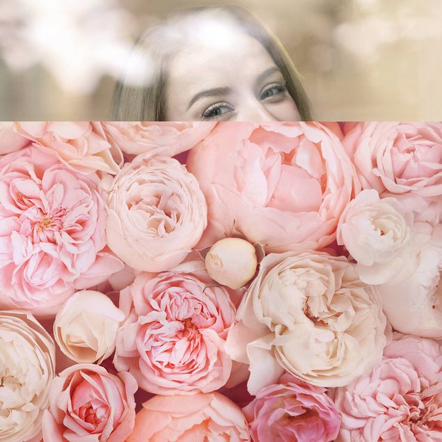 Fensterbilder Rosen Rosé Koralle Shabby