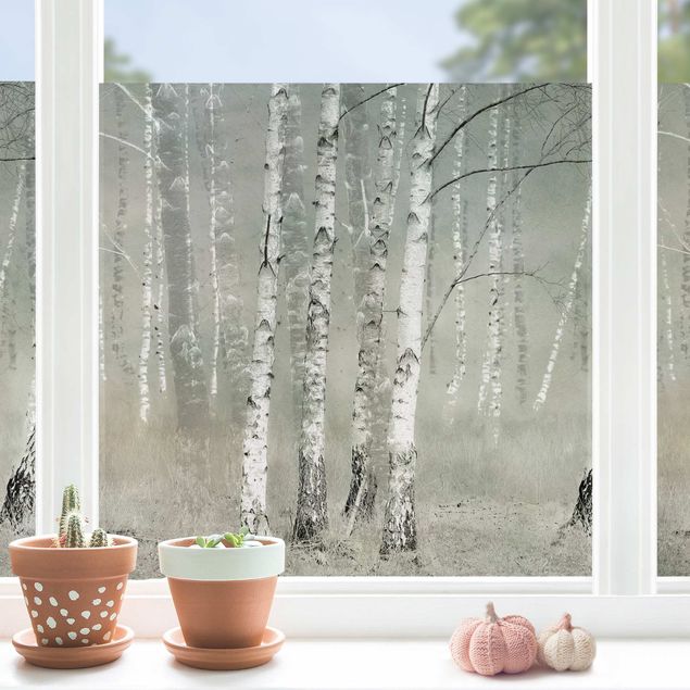 Klebefolie für Fenster Ruhender Birkenwald