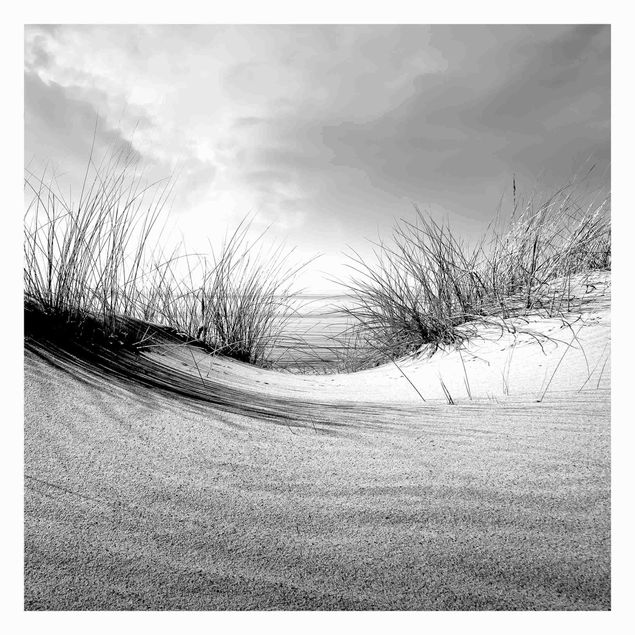 Fototapete selbstklebend Sanddüne Schwarz-Weiß