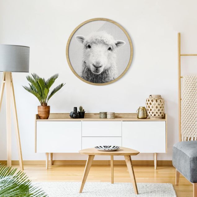 Tiere Bilder mit Rahmen Schaf Steffi Schwarz Weiß