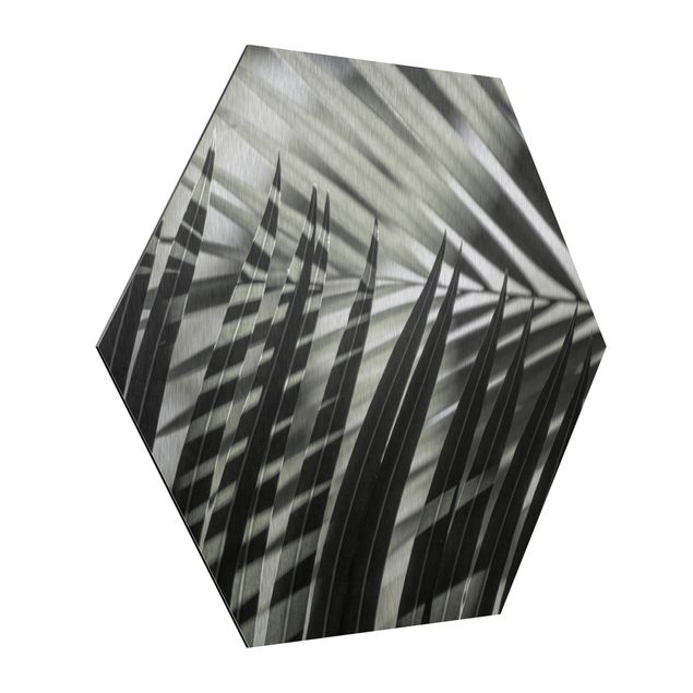 Hexagon Bild Alu-Dibond - Schattenspiel auf Palmenwedel