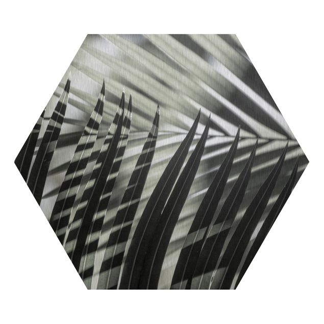 Hexagon Bild Alu-Dibond - Schattenspiel auf Palmenwedel