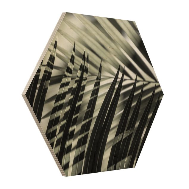 Hexagon Bild Holz - Schattenspiel auf Palmenwedel