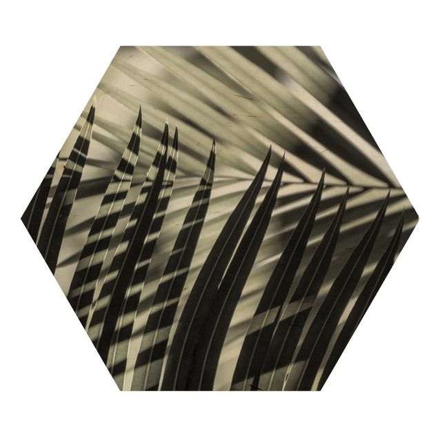 Hexagon Bild Holz - Schattenspiel auf Palmenwedel