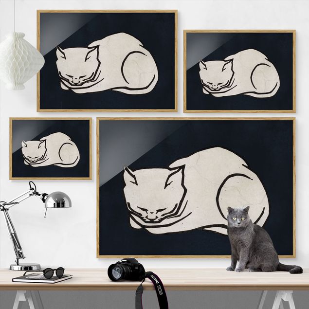 Bilder mit Rahmen Schlafende Katze Illustration