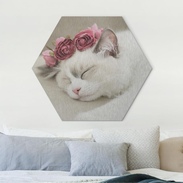 Hexagon Bild Alu-Dibond - Schlafende Katze mit Rosen