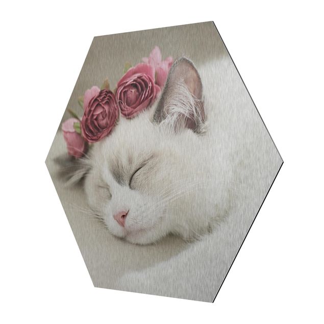 Hexagon Bild Alu-Dibond - Schlafende Katze mit Rosen