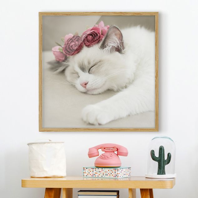 Moderne Bilder mit Rahmen Schlafende Katze mit Rosen
