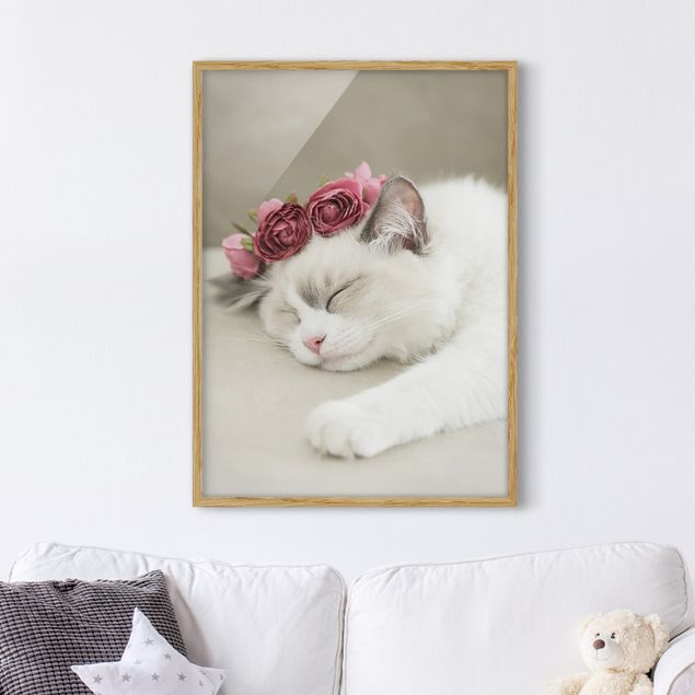 Moderne Bilder mit Rahmen Schlafende Katze mit Rosen