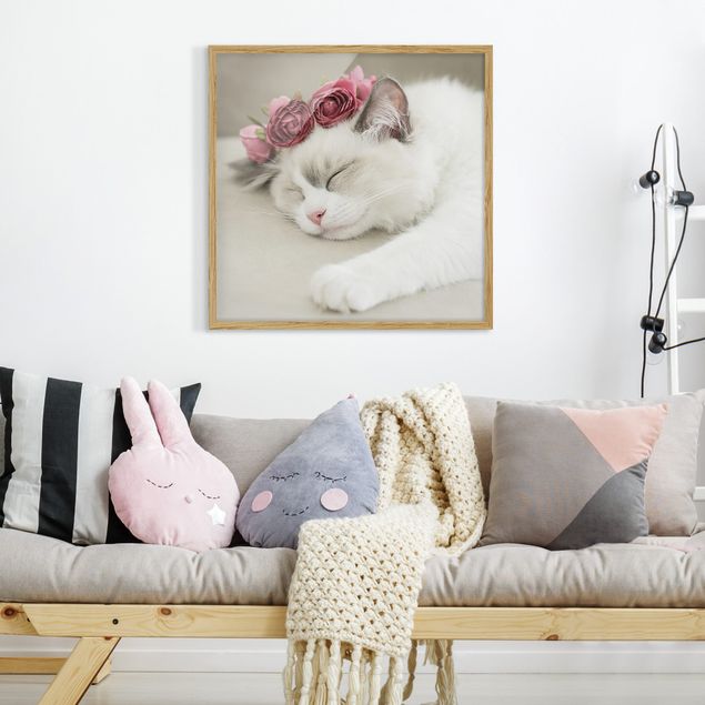 Tiere Bilder mit Rahmen Schlafende Katze mit Rosen