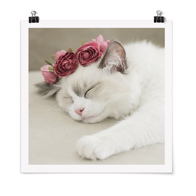 Tiere Poster Schlafende Katze mit Rosen