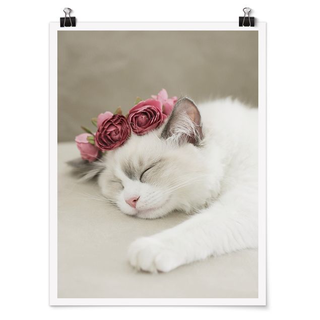 Poster Tiere Schlafende Katze mit Rosen