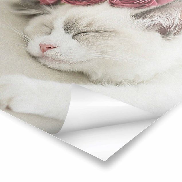 Poster bestellen Schlafende Katze mit Rosen