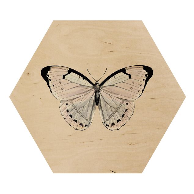 Hexagon Bild Holz - Schmetterling auf Beige