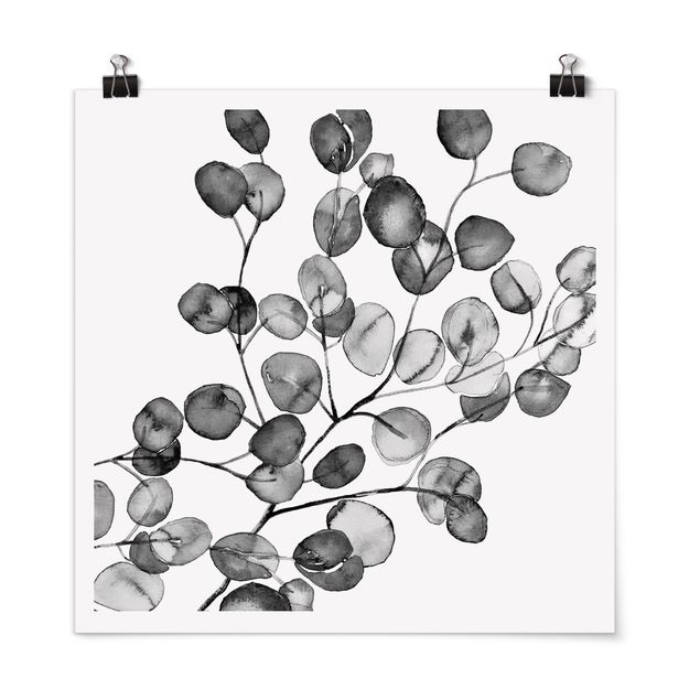 Monika Strigel Poster Schwarz Weiß Aquarell Eukalyptuszweig